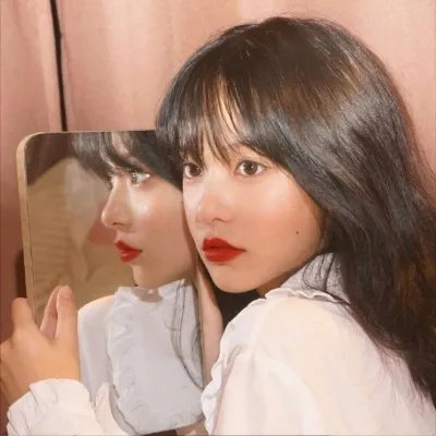 芙蓉春色